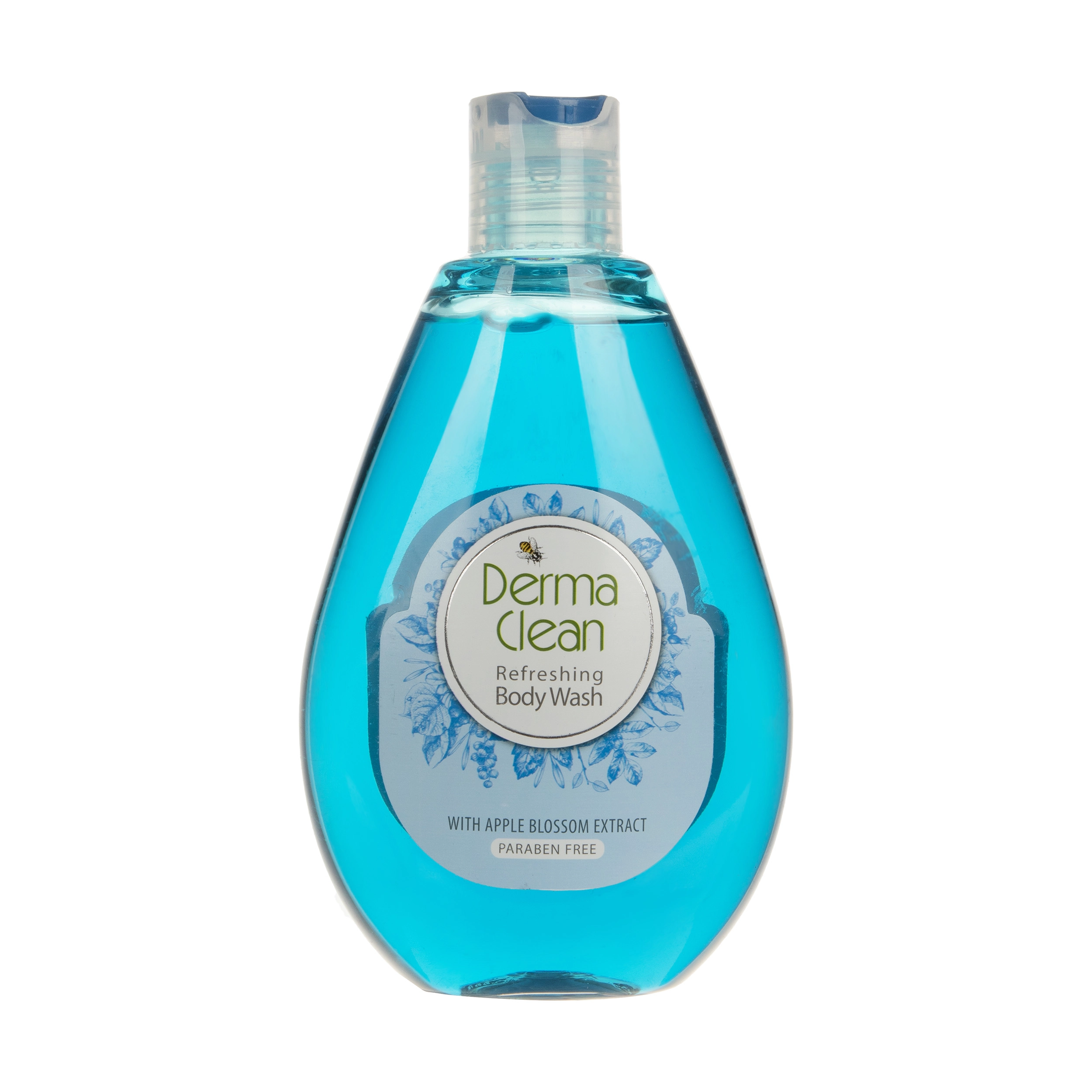 6260374027650 شامپو بدن درماکلین- ضدتعریق سیب آقایان 4002 - تصویر 1