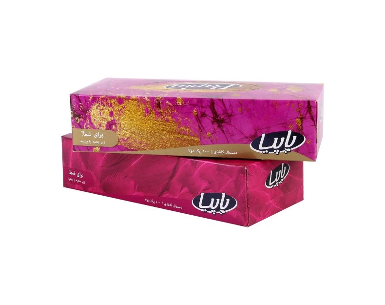 6266061101948 دستمال کاغذی پاپیا- 100برگ دولایه - تصویر 1